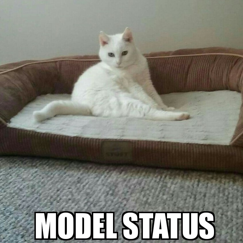 Model Status